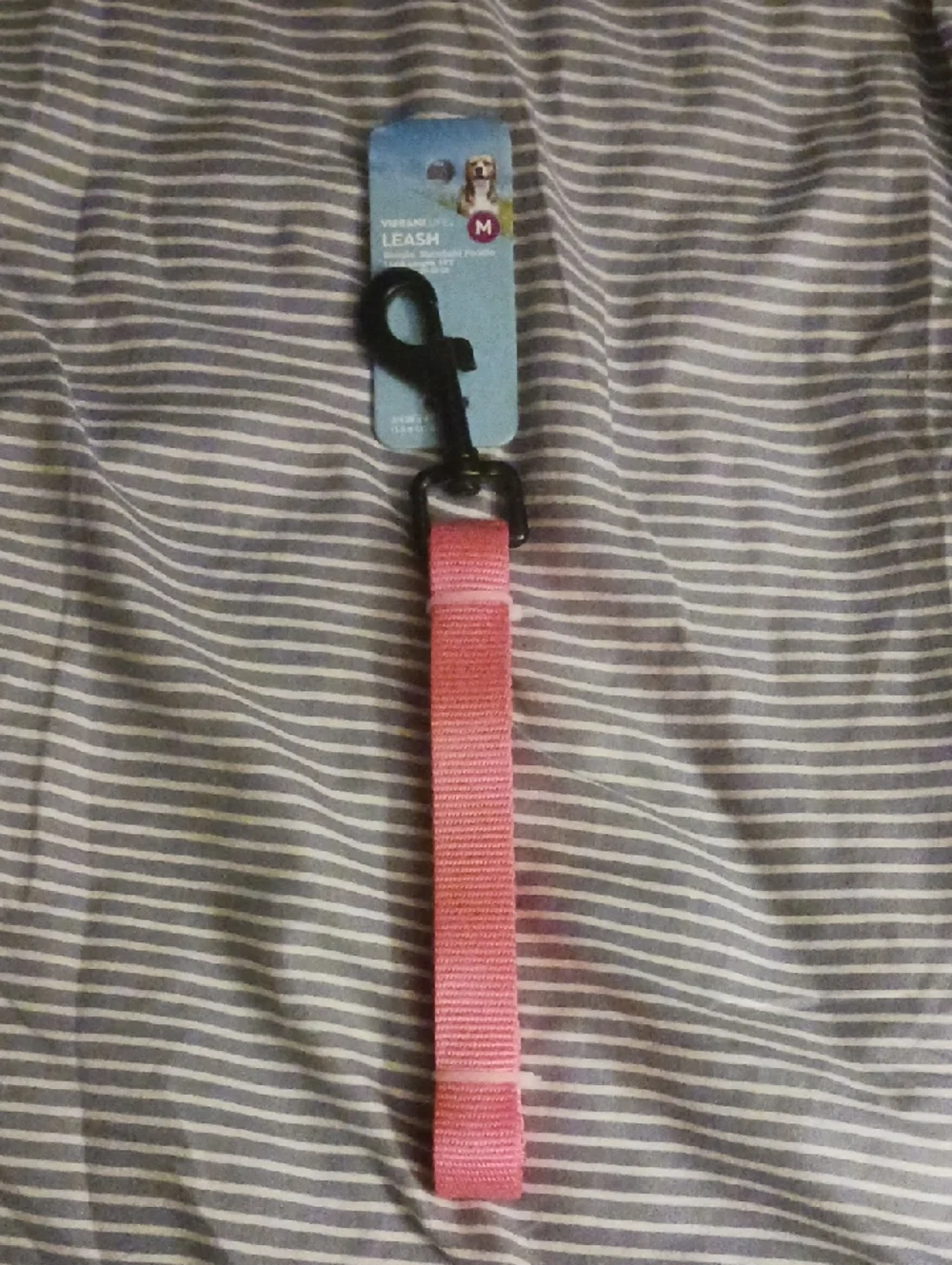 Pink Dog Leash - Medium